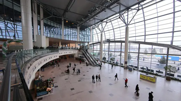 В Домодедове сняли пассажира с рейса в Анталью за пьяный дебош