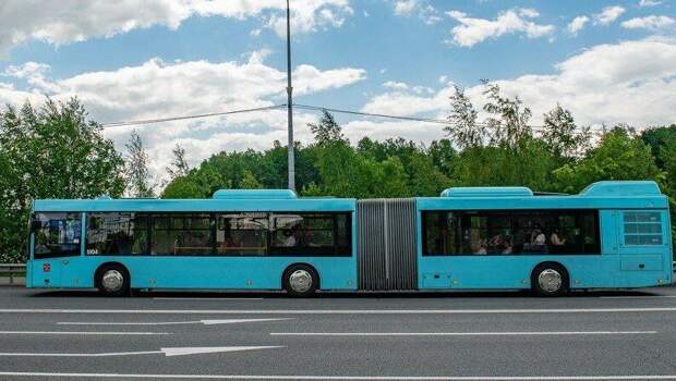 Празднование Дня ВМФ изменит схему движения автобусов и троллейбусов в Петербурге