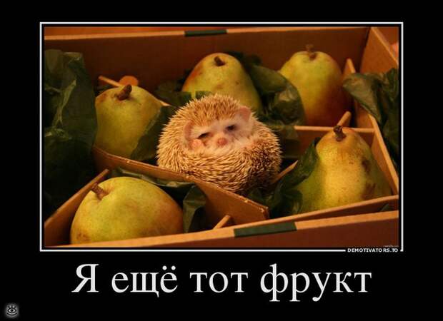 Деградируй правильно! 1