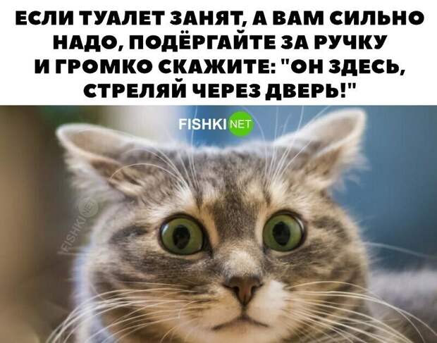 Дуракам закон не писан, но повторять не будем Дуракам закон не писан, но повторять не будем
