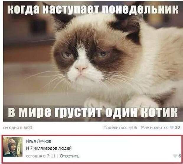 Нарезка забавных картинок Нарезка забавных картинок