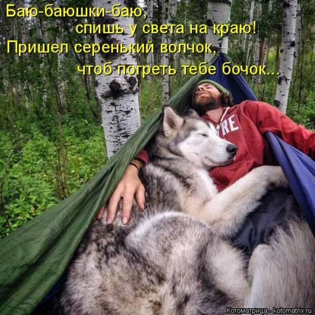 Лучшие котоматрицы недели