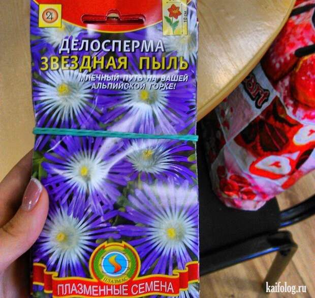 Прикольные семена (35 фото)