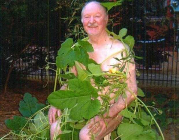 Что здесь происходит?! (31 фото)