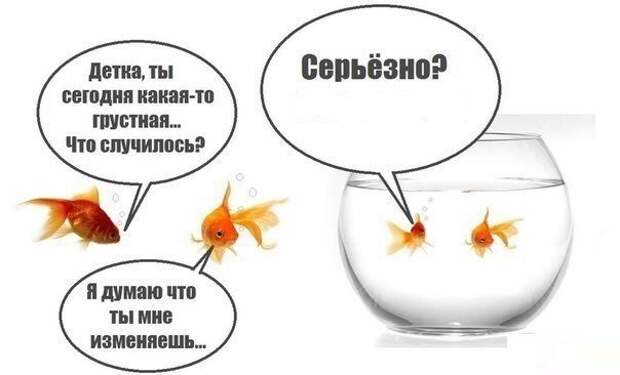 Смешные картинки с надписями прикол, юмор