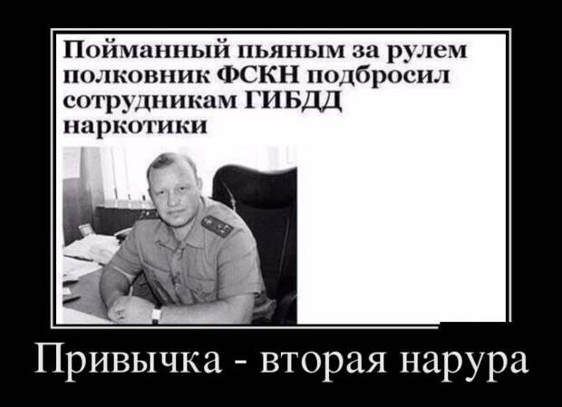 Демотиваторы (30 фото)