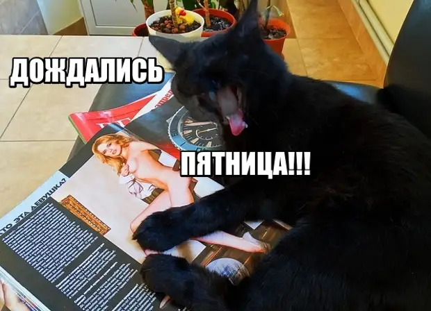 Наконец то пятница картинки