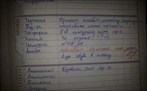 Учительские перлы из школьных дневников дневник, записи, записи в дневниках, школа, юмор