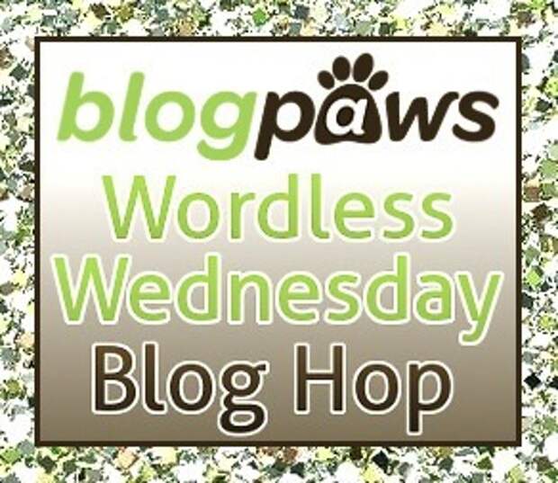 BP_Wordless_wed_Hop_Logo_2014