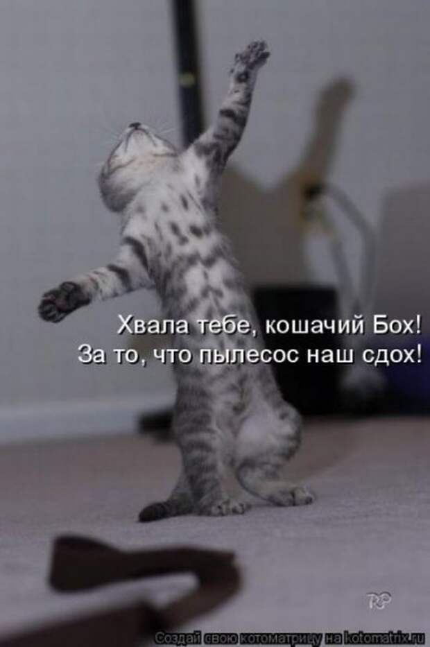 Мысли вслух :)