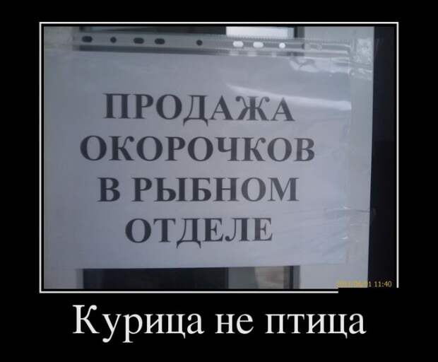 Демотиваторы №1081 (30 фото)
