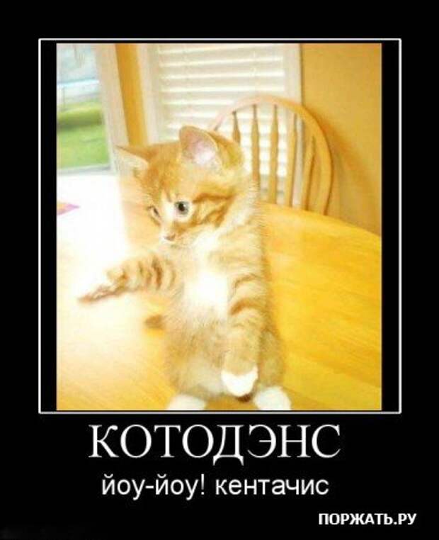 Прикольные демотиваторы (часть 1)