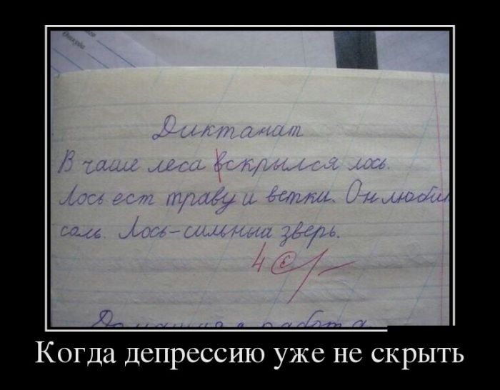 Демотиваторы (30 фото)