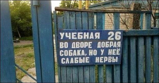 смешные надписи, объявления, маразмы