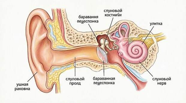 Мир постепенно глохнет из-за наушников