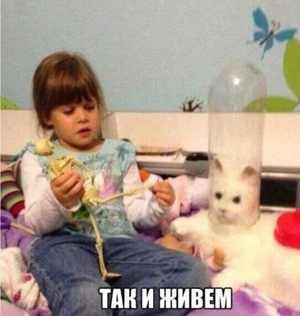15 очень смешных снимков, которые точно поднимут вам настроение