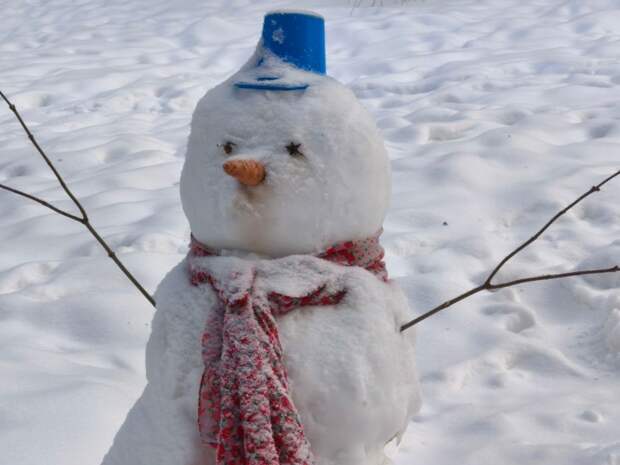 Туляков ждёт самый холодный день зимы с температурой до -25 градусов ночью