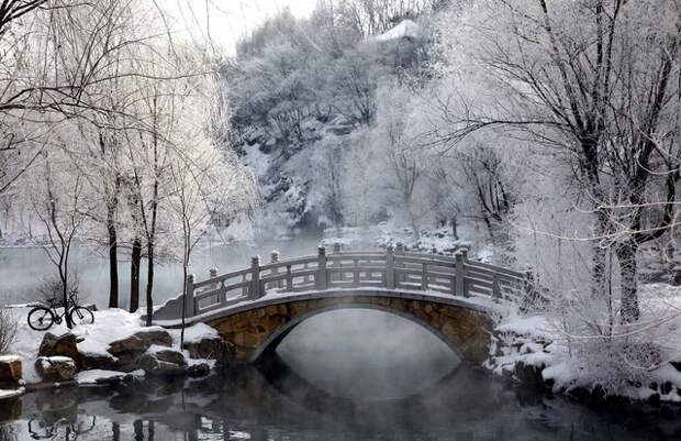 Красоты зимы   зима, фото
