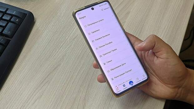 Мошенники начали предлагать россиянам "проверку Госуслуг"