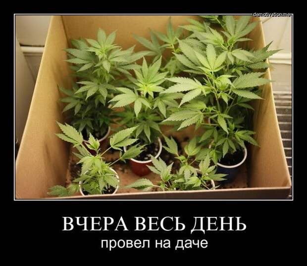 Демотиваторы и мотиваторы. Демотиваторы и веселые картинки_29-05-2013 Демотиваторы и мотиваторы. Демотиваторы и веселые картинки_29-05-2013