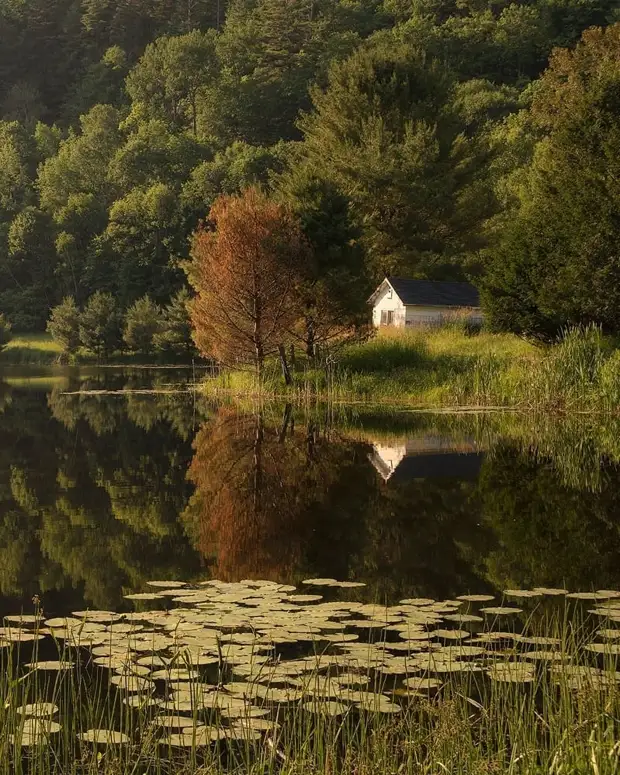 ��������� ����