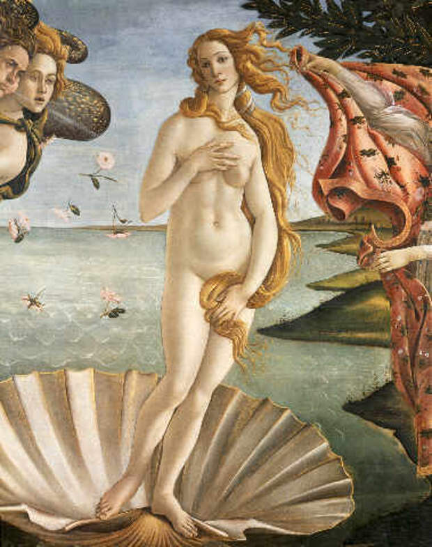 Botticelli: The Birth of Venus. Art Print, Canvas on Stretcher ...