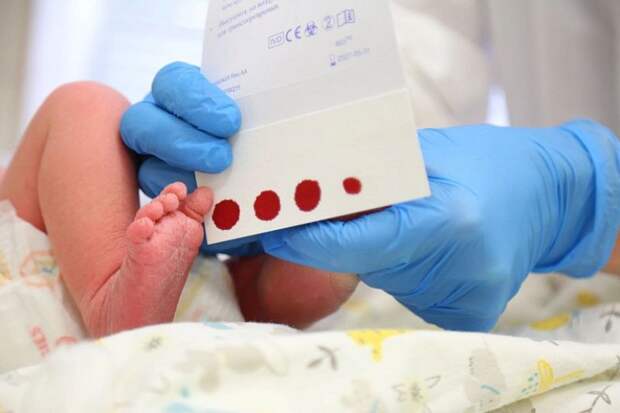 Акушерские службы Тульской области проверят по поручению губернатора