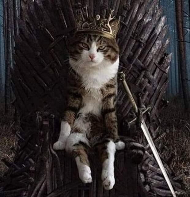 О волшебных свойствах силикона