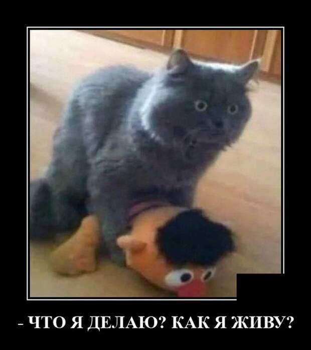 Демотиваторы 14 сентября 2021 года