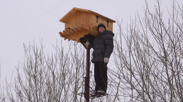 Живущая в дикой природе сова подружилась с жителями села Кораблино Рязанской области