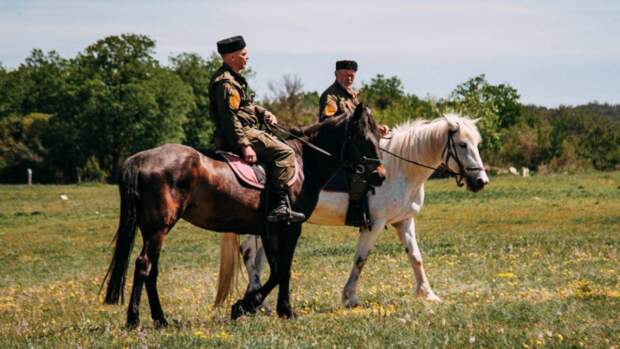 Казаки готовы нести государственную службу, но на законных основаниях
