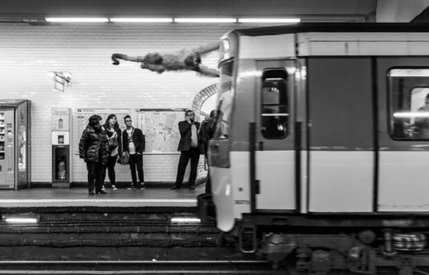 Обезьяна в метро. Обезьяна в метро.