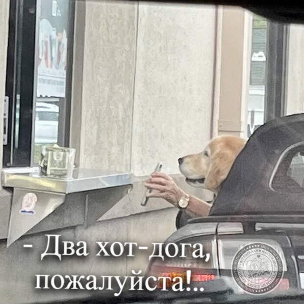 Два хот-дога