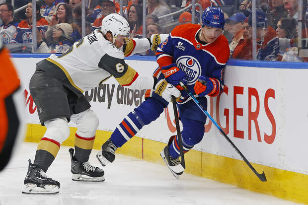 Женщина родила ребенка во время матча НХЛ