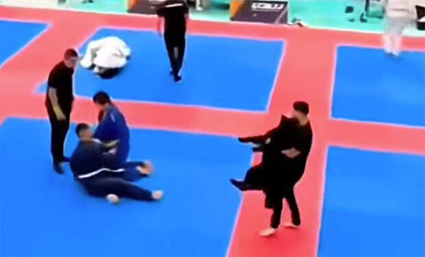 Фото: Reddit/коллаж