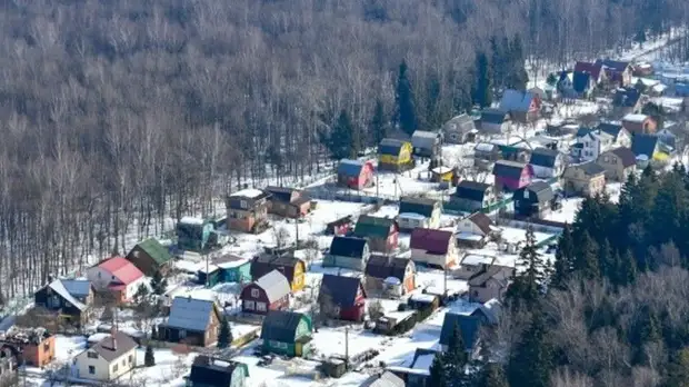 В Подмосковье в рамках лесной амнистии привели в соответствие более 71 тысячи земельных участков