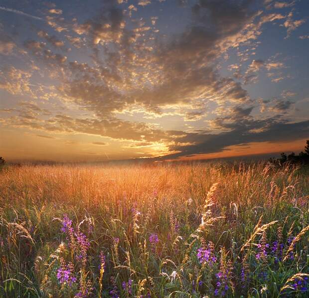 Фото жизнь - mondtag3106 - Пейзажи - Закатная