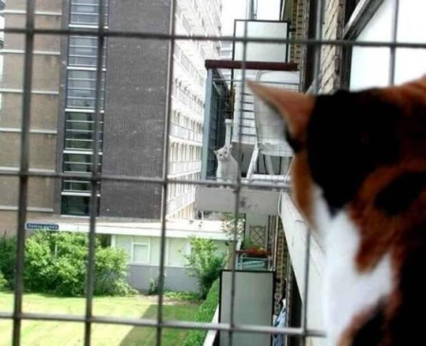 Забавно :)(25 фото)