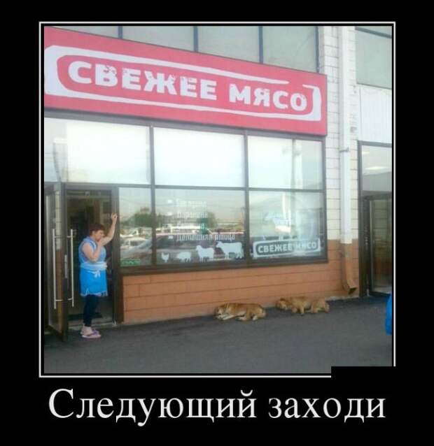 Демотиваторы (30 фото)