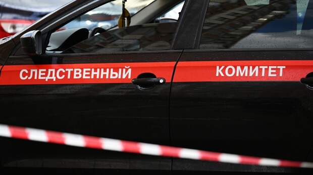 RT: похищенная в Смоленске девятилетняя девочка не пострадала