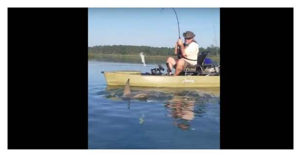 Акула утащила рыбака прямо с лодкой: видео Mike Kachman, Rob Birchmeier, shark, акула, рыбалка