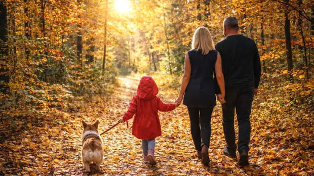 Что не так с тропой в Белогорье, где потерялись Усольцевы. Такого ответа я совсем не ожидала