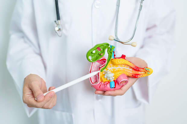 Первый МГМУ: началась разработка искусственной поджелудочной железы