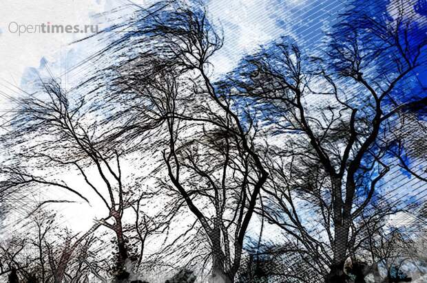 Орловцев предупреждают об усилении ветра до 18 м/с