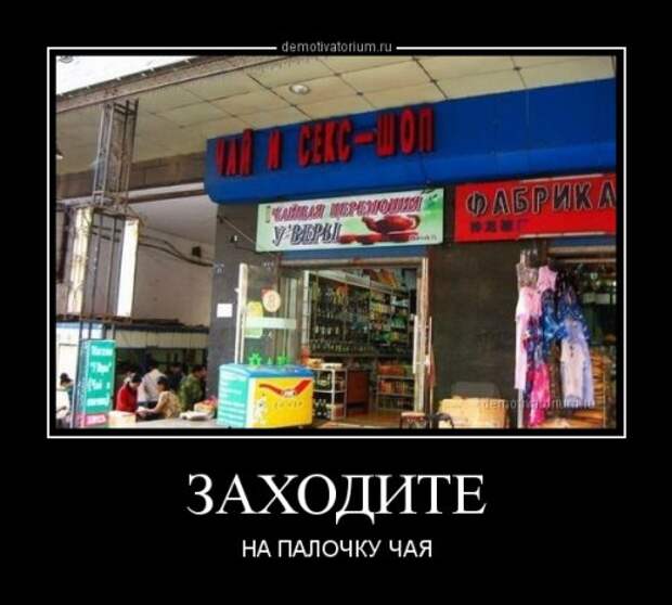 Новые демотиваторы (11 шт)