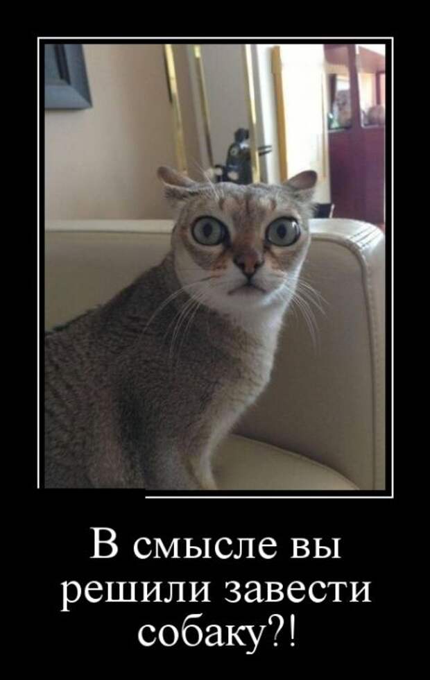 Демотиваторы (30 фото)