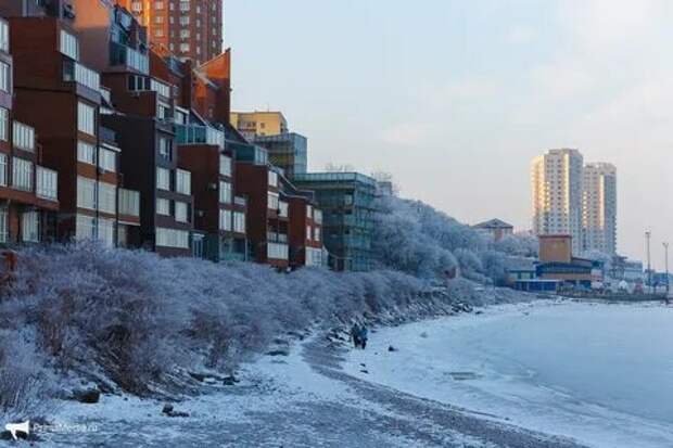 Зимний Владивосток.
