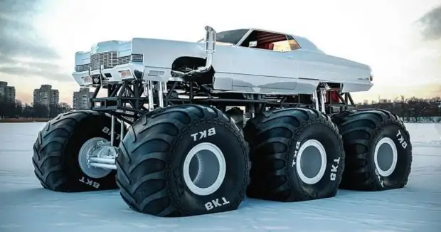 Позитив и юмор в смешных фотографиях