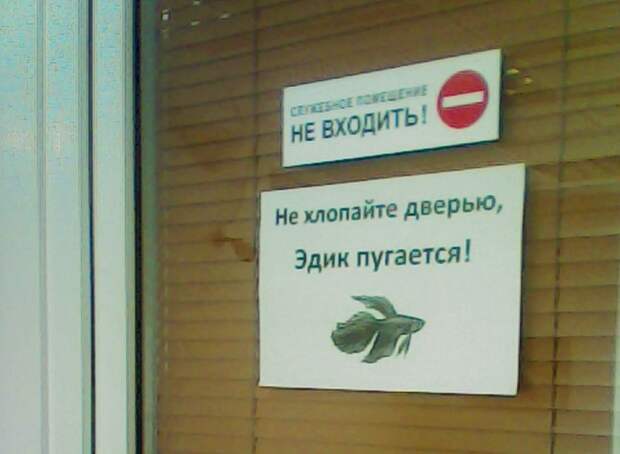 25 гениальных объявлений 2014 года объявления, смешно