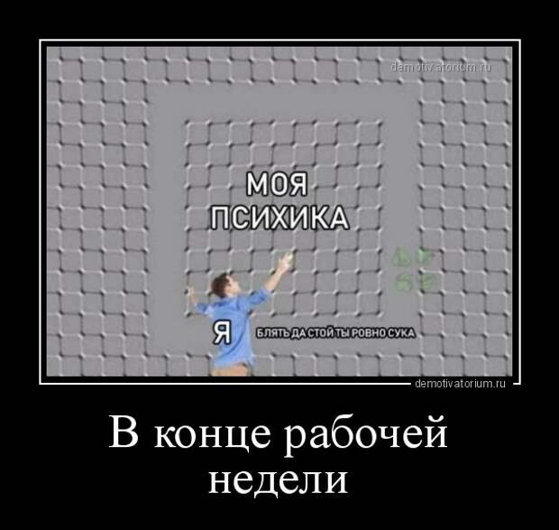 Прикольные демотиваторы для всех! (13 фото)